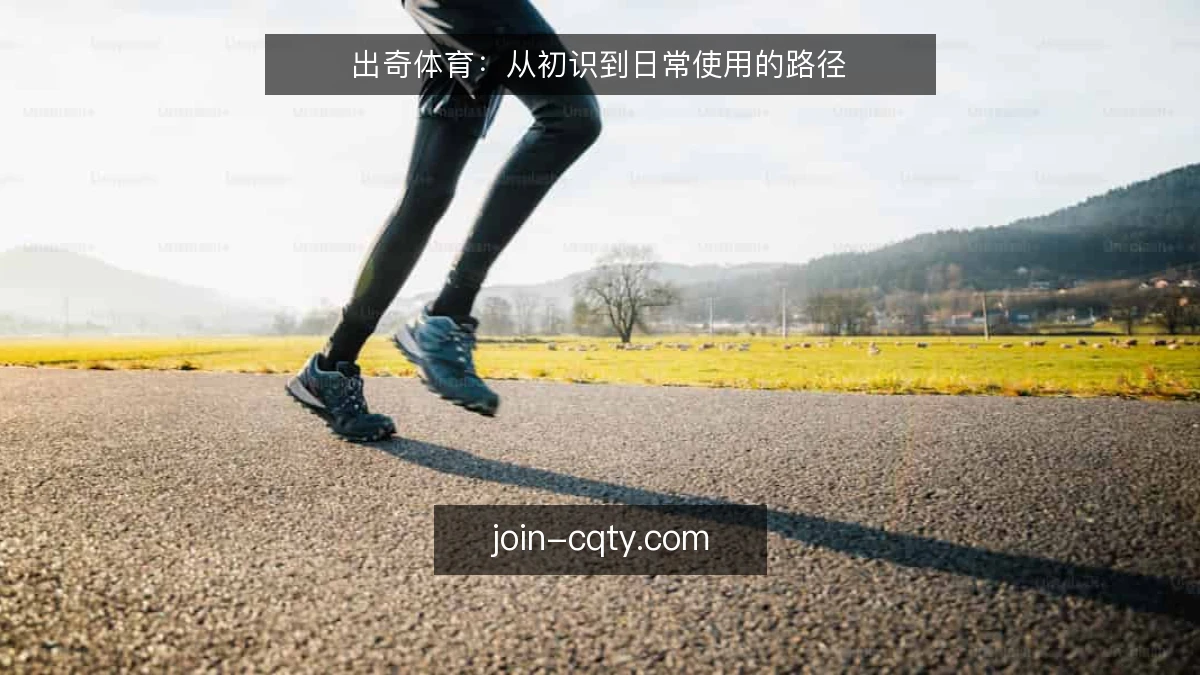 出奇体育:从初识到日常使用的路径